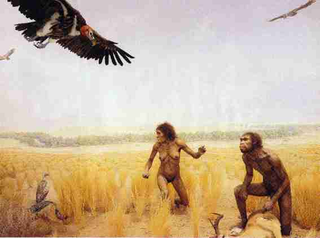 Illustration for article titled How did humans really evolve?